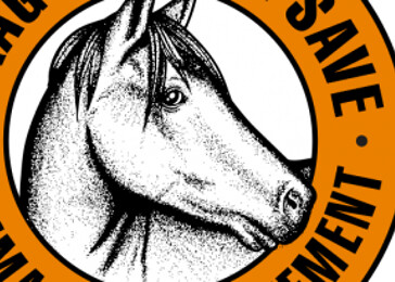 Tichý protest za zákaz koňských povozů v Praze