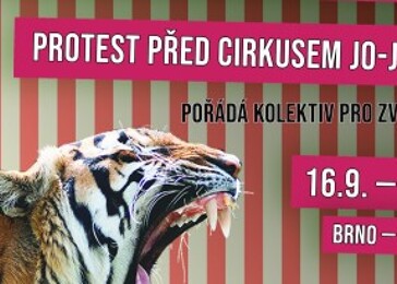 Protest u cirkusu Jo-Joo (Brno)
