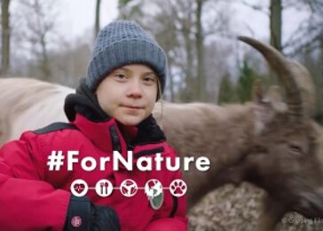 Video: Greta Thunberg dává do souvislosti chov zvířat s ekologickou krizí a pandemiemi