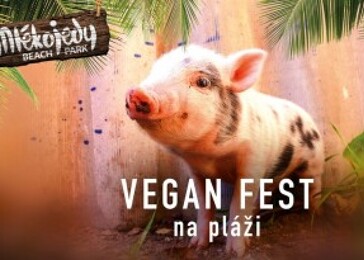 Vegan Fest na pláži (Mlékojedy)