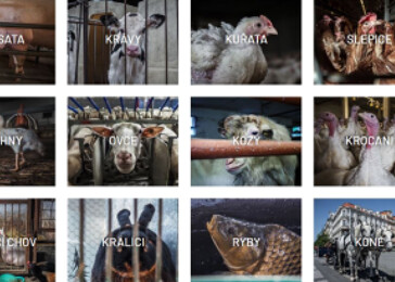 Největší galerie fotografií lidmi využívaných zvířat v ČR