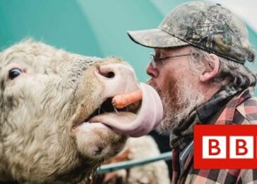 Masní a mléční farmáři, kteří přecházejí na veganství