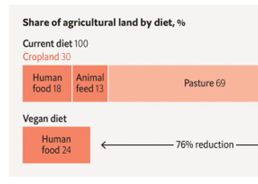 Kdyby byli všichni vegani, byla by potřeba jen čtvrtina současné orné půdy