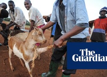 Vědci varují před darováním zvířat do rozvojových zemí