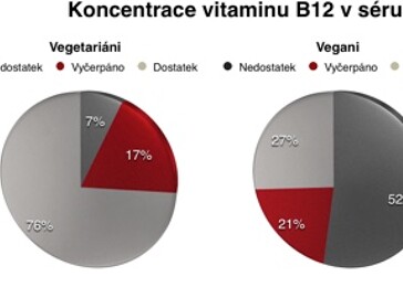 Vitamin B12 - Často kladené otázky