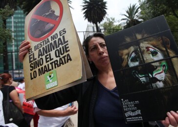 Mexiko řeklo adios zvířatům v cirkusech
