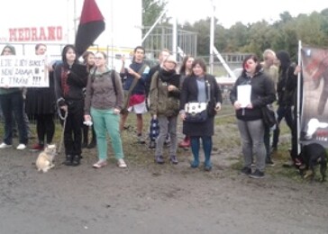 Stop drezúře zvířat! protestovali aktivisté u cirkusu v Praze