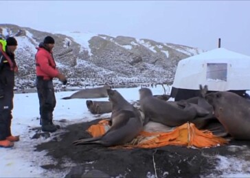 Tuleni se zmocnili stanu filmařů