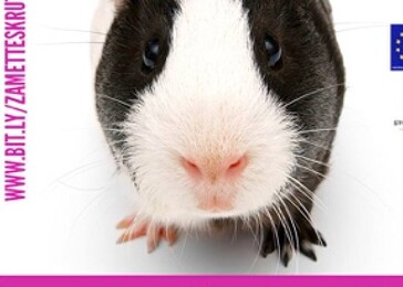 Zameťte s krutostí – nová kampaň Svobody zvířat za zákaz testování prostředků pro domácnost na zvířatech